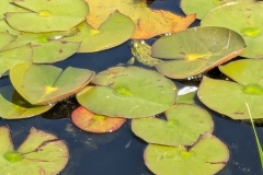 PXL_20250520_085521311