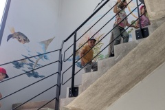 PXL_20250520_090614993