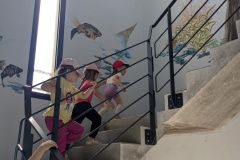 PXL_20250520_090617177