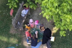 PXL_20250520_091305881