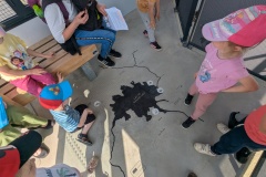 PXL_20250520_091425609