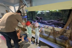 PXL_20250520_092326391.MP_