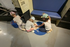 PXL_20250520_092559370