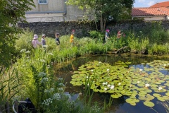 PXL_20250520_094704331