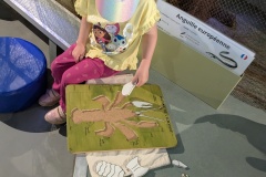 PXL_20250520_095818038.MP_