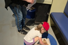 PXL_20250520_095830380