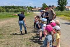 PXL_20250520_113448940