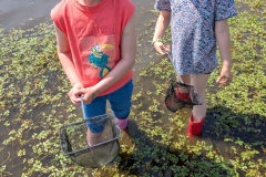 PXL_20250520_120828233