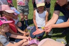 PXL_20250520_122830279