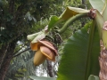 DSCN4630