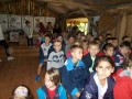 DSCN4634